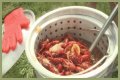 Cajun Fest moves to Iowa State Fairgrounds’ venue