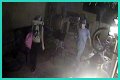 Paris Hilton Awakes To Robber With Knife At Her Window